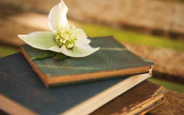 最近，你讀書(shū)了嗎？