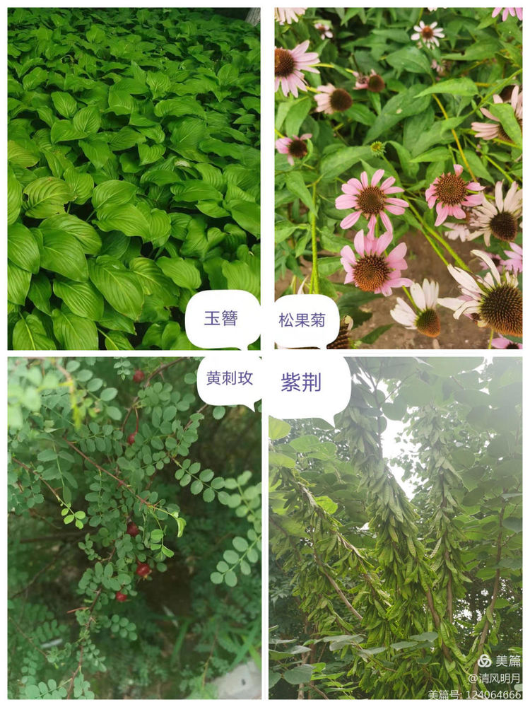 21級新生夏令營系列活動——秀水公園研學旅行