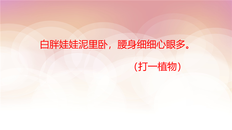 2022級(jí)6月份新生夏令營(yíng)系列活動(dòng)預(yù)告大合集來(lái)啦，邀你一起來(lái)參加！